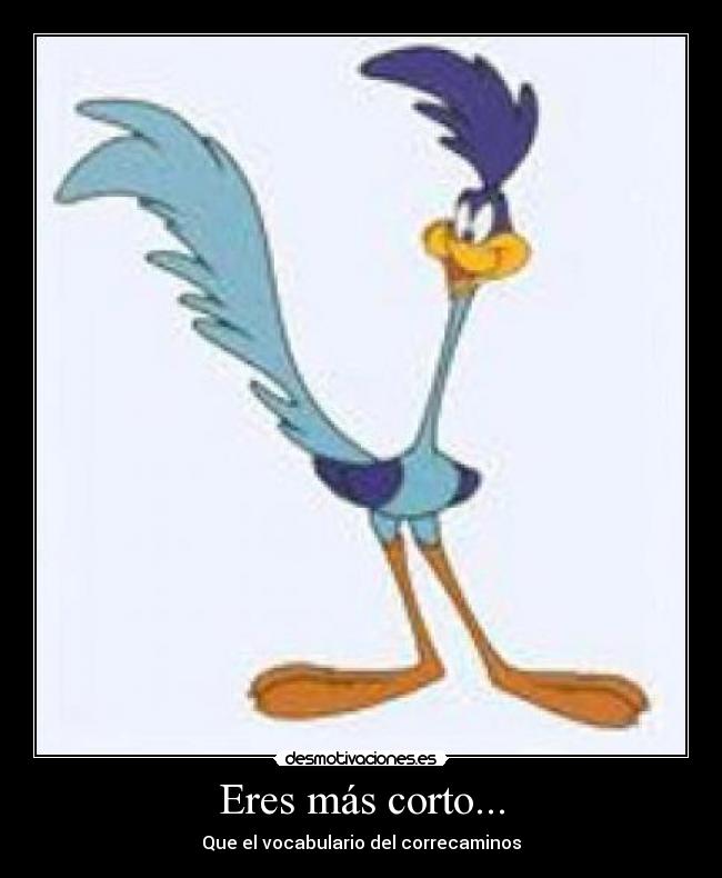Eres más corto... - 
