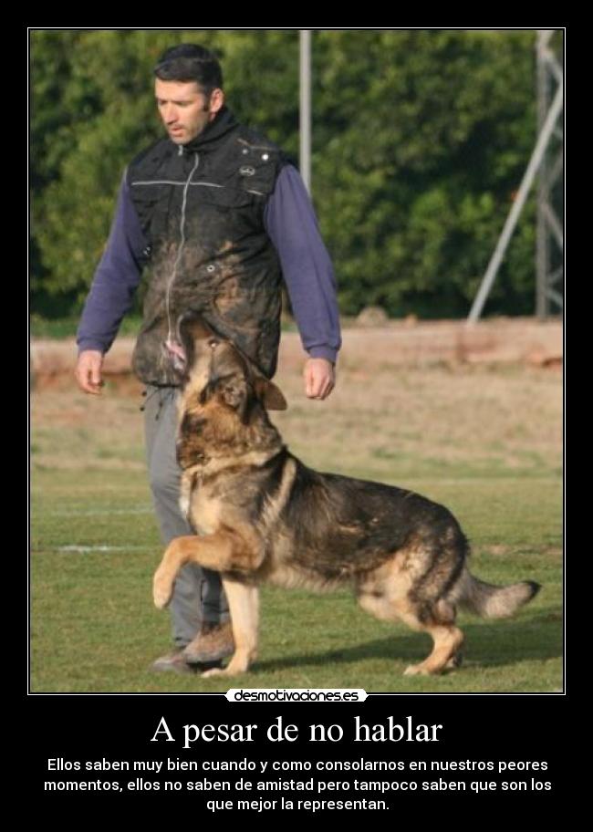 A pesar de no hablar -