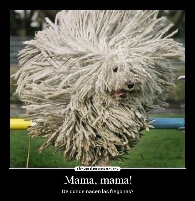 Mama, mama! - De donde nacen las fregonas?