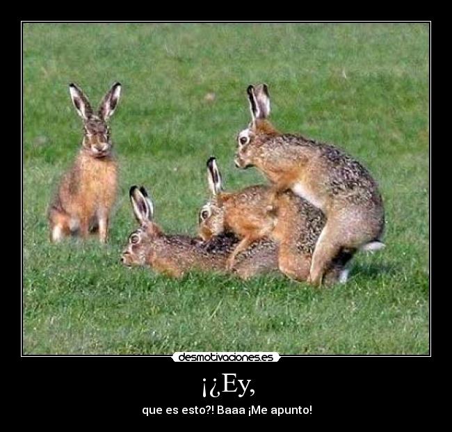 ¡¿Ey, - que es esto?! Baaa ¡Me apunto!