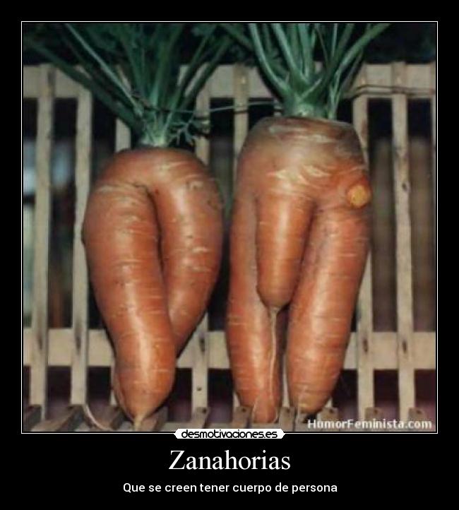 Zanahorias - 
