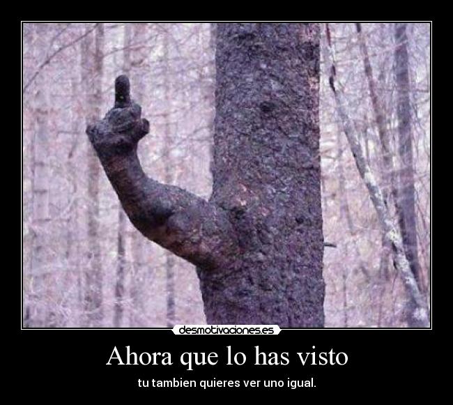 Ahora que lo has visto -