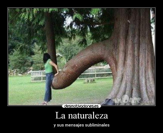 La naturaleza - y sus mensajes subliminales