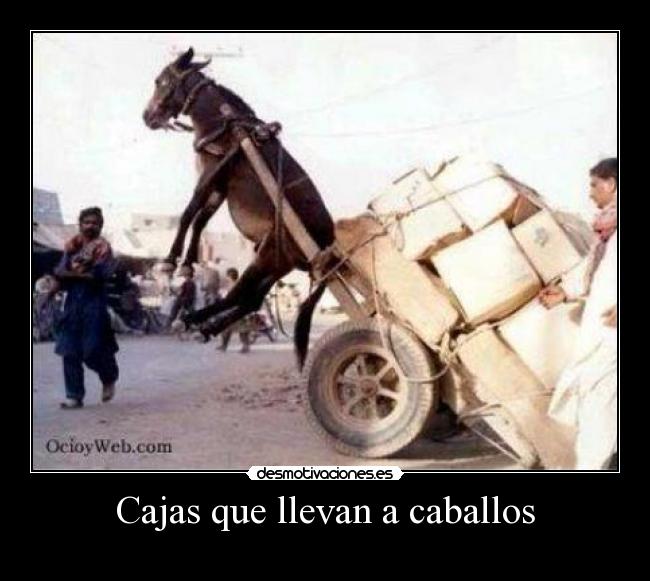 carteles pedidos desmotivaciones