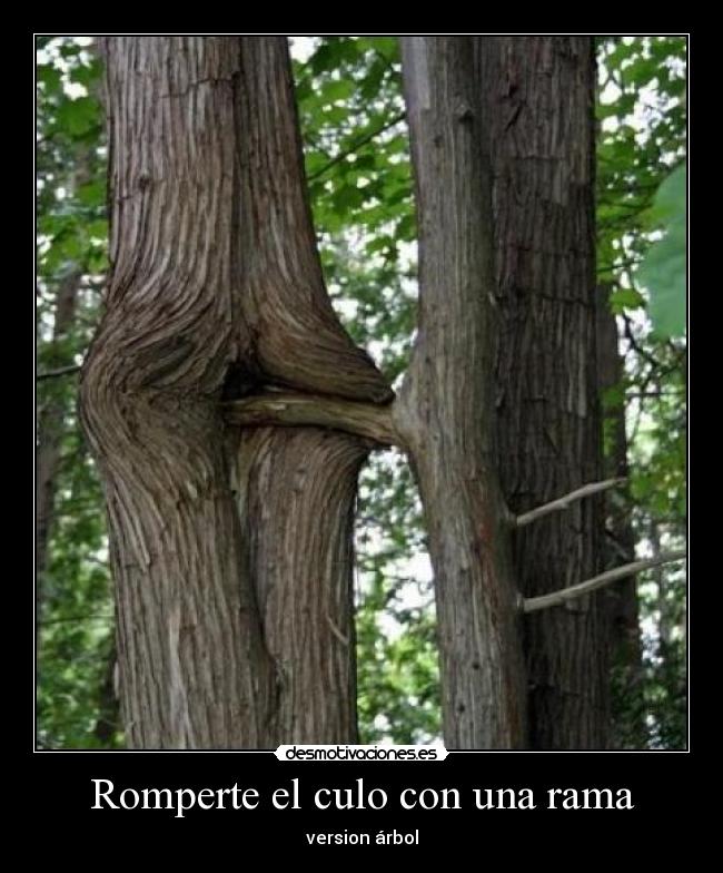 Romperte el culo con una rama - version árbol