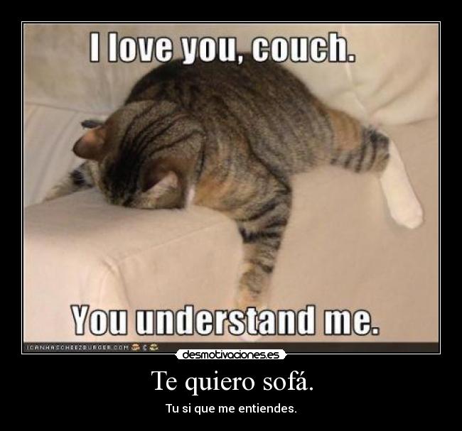 carteles gatossofa desmotivaciones