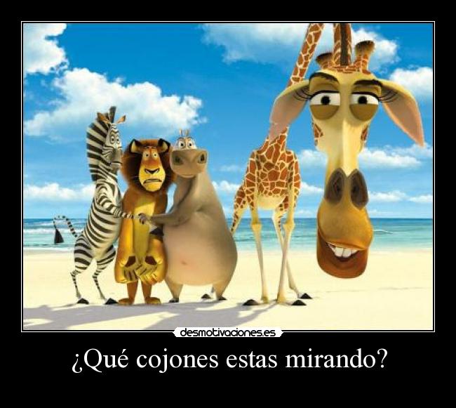 ¿Qué cojones estas mirando? -