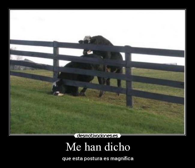 Me han dicho - que esta postura es magnifica