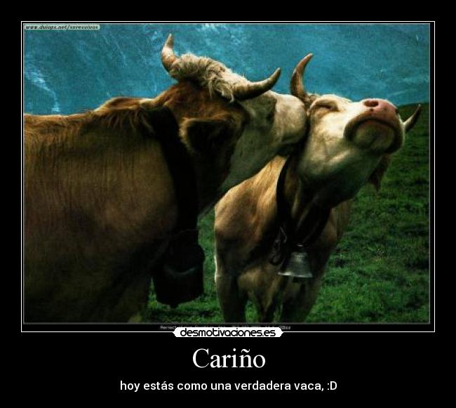 Cariño - 
