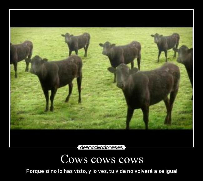 carteles cows desmotivaciones