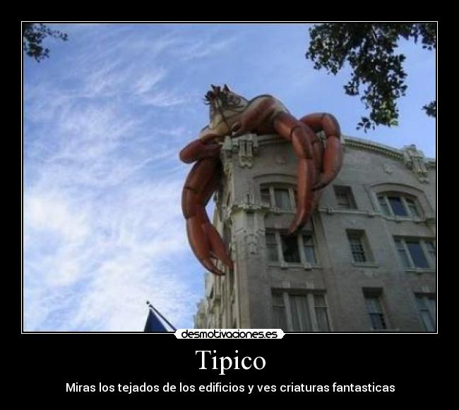 Tipico -