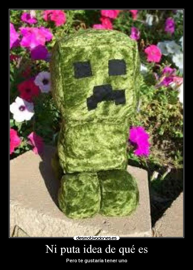 Ni puta idea de qué es - 