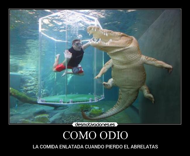 COMO ODIO -