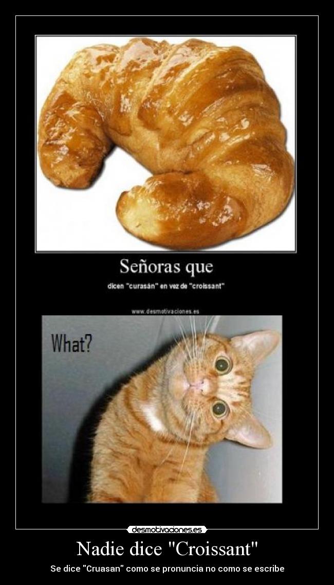Nadie dice Croissant -