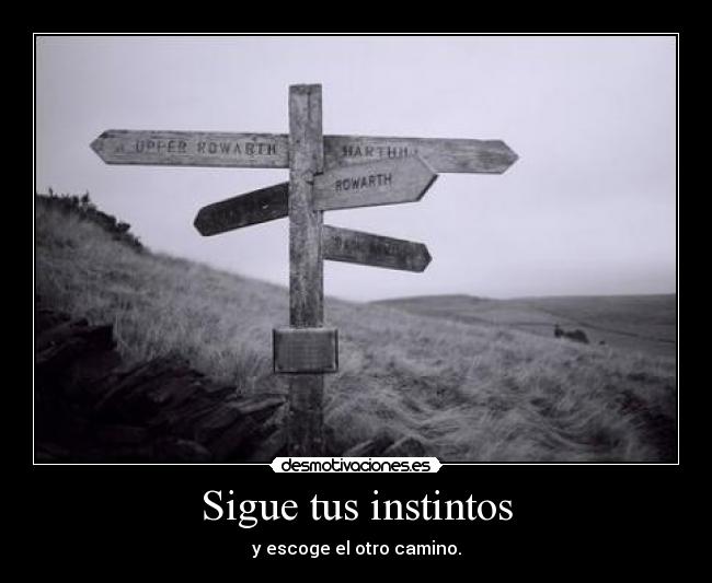 Sigue tus instintos -
