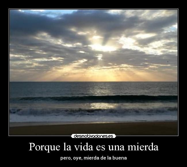 Porque la vida es una mierda - pero, oye, mierda de la buena