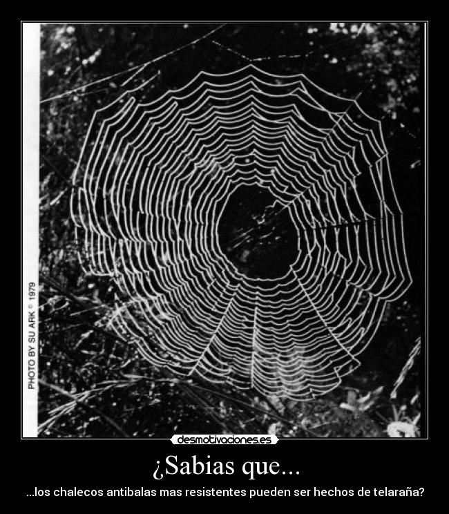 carteles dimitri bakarof desmotivaciones