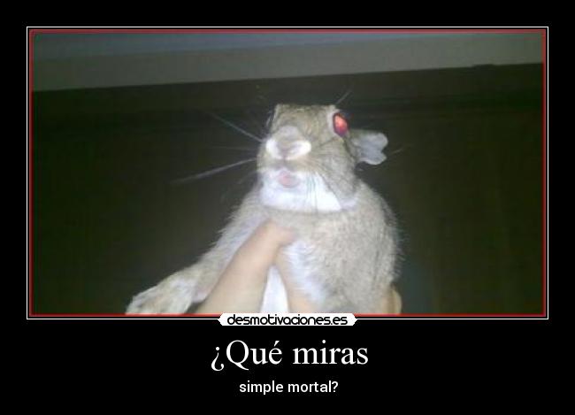 ¿Qué miras - simple mortal?