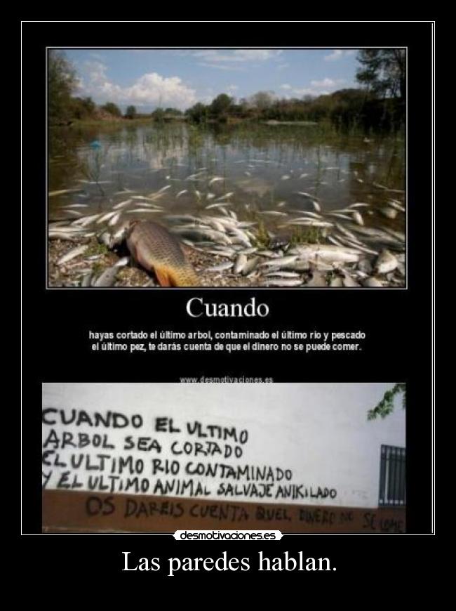 Las paredes hablan. -