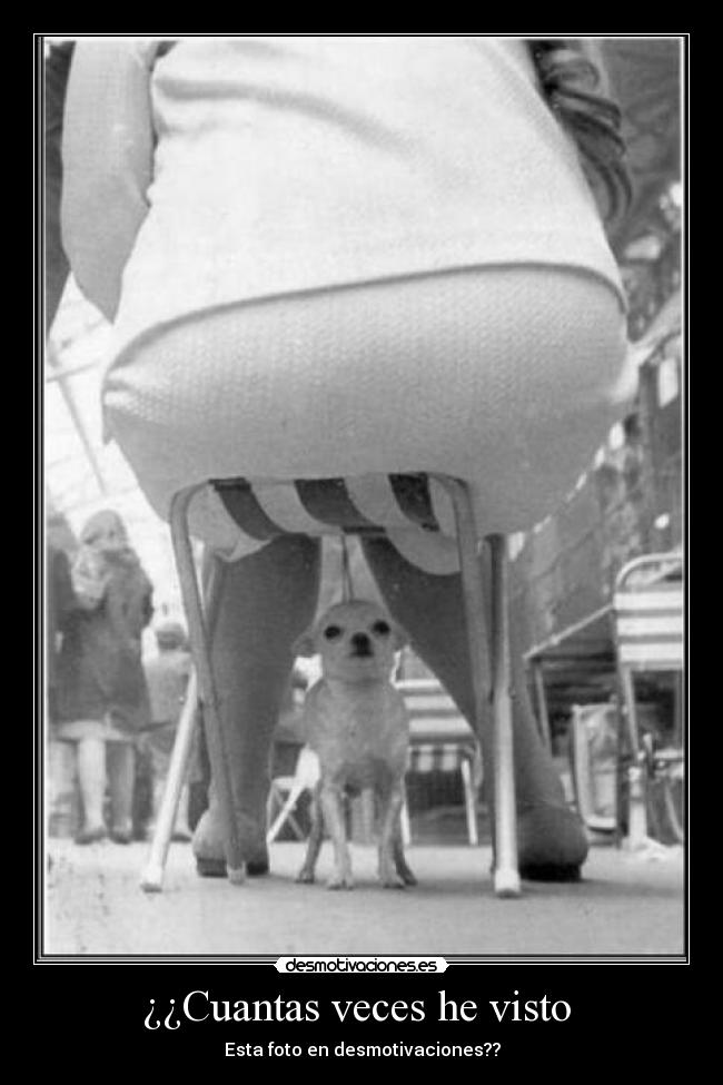 ¿¿Cuantas veces he visto -