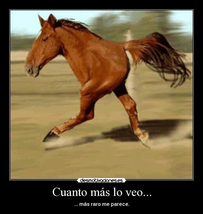 Cuanto más lo veo... - ... más raro me parece.