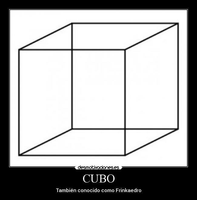 CUBO - 