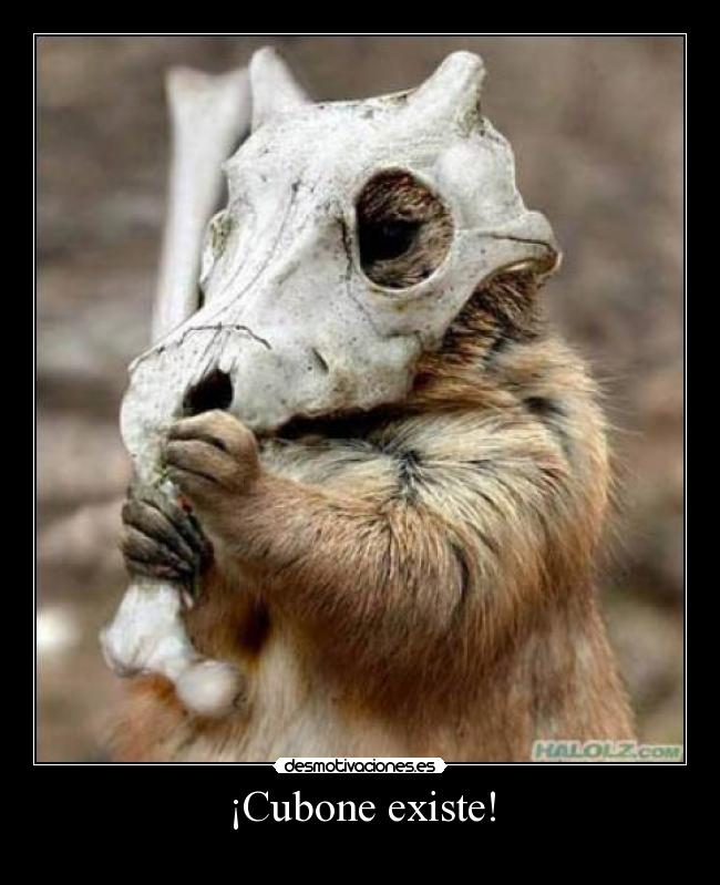 ¡Cubone existe! - 
