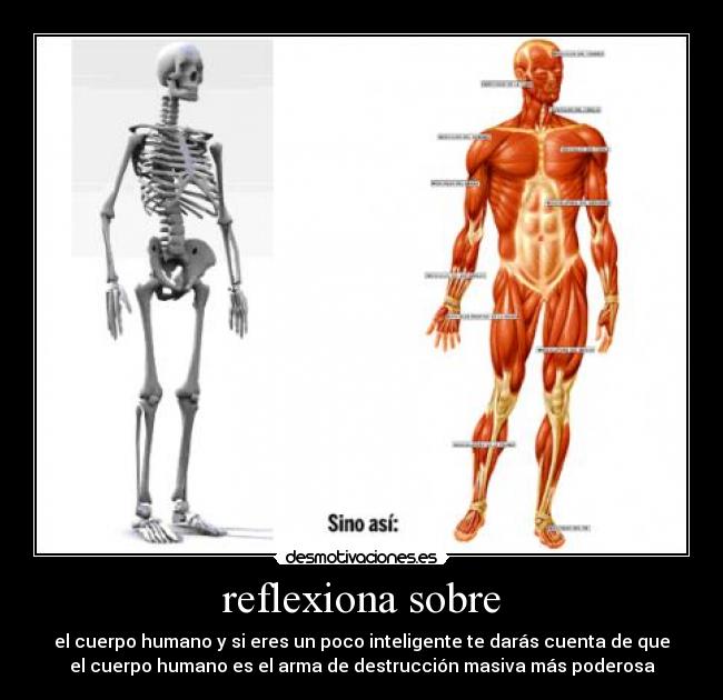 reflexiona sobre - el cuerpo humano y si eres un poco inteligente te darás cuenta de que
el cuerpo humano es el arma de destrucción masiva más poderosa