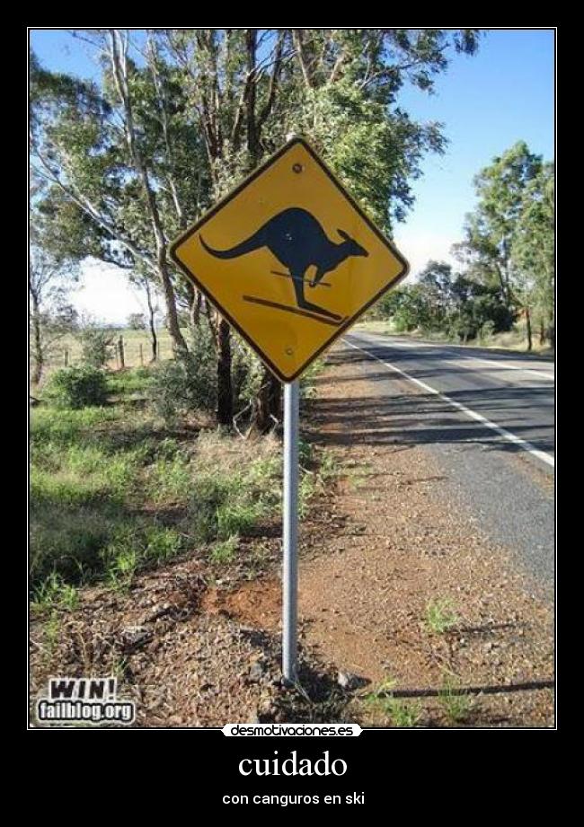 cuidado - con canguros en ski