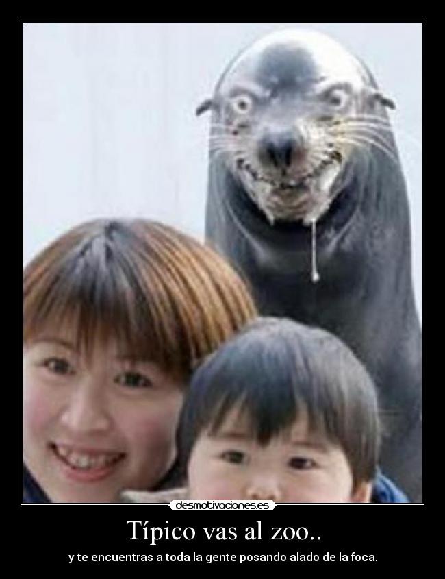 Típico vas al zoo.. - 