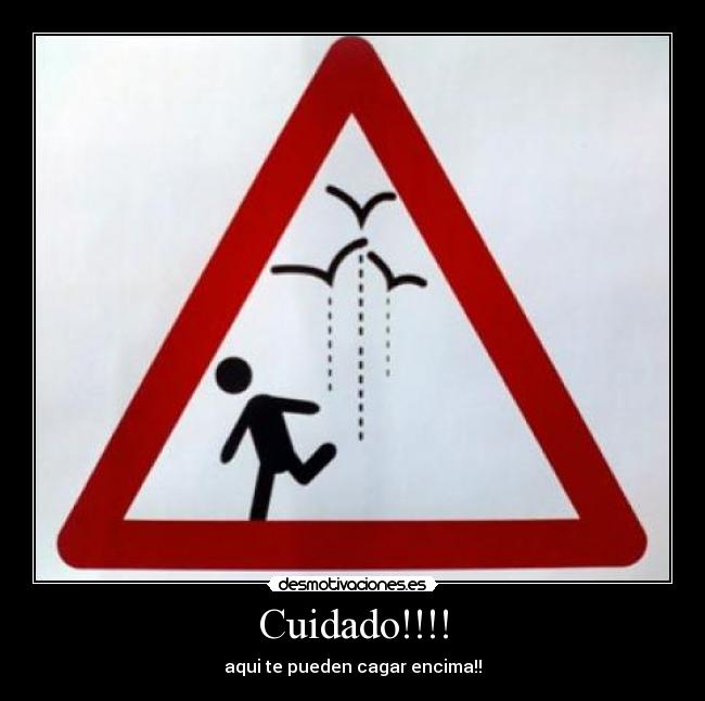Cuidado!!!! - aqui te pueden cagar encima!!
