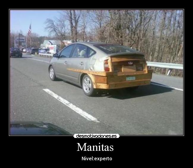 Manitas  - Nivel:experto