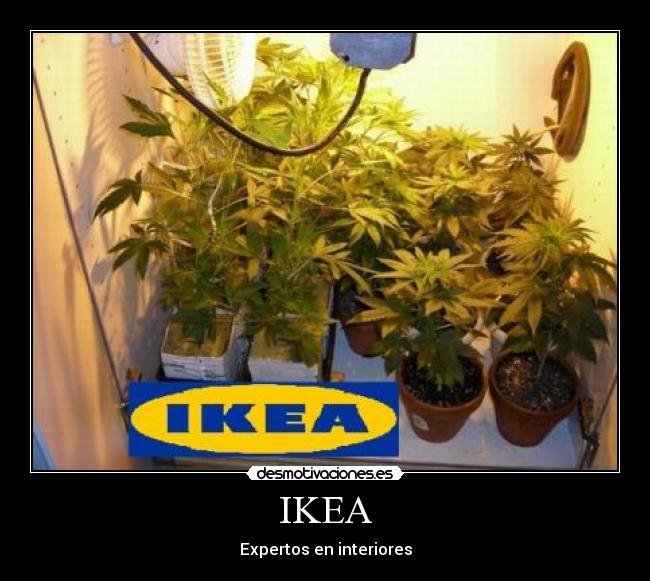 IKEA - Expertos en interiores