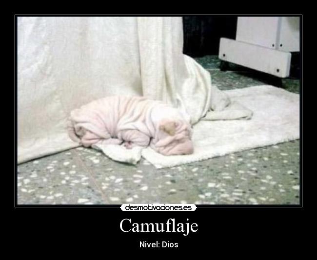 Camuflaje -