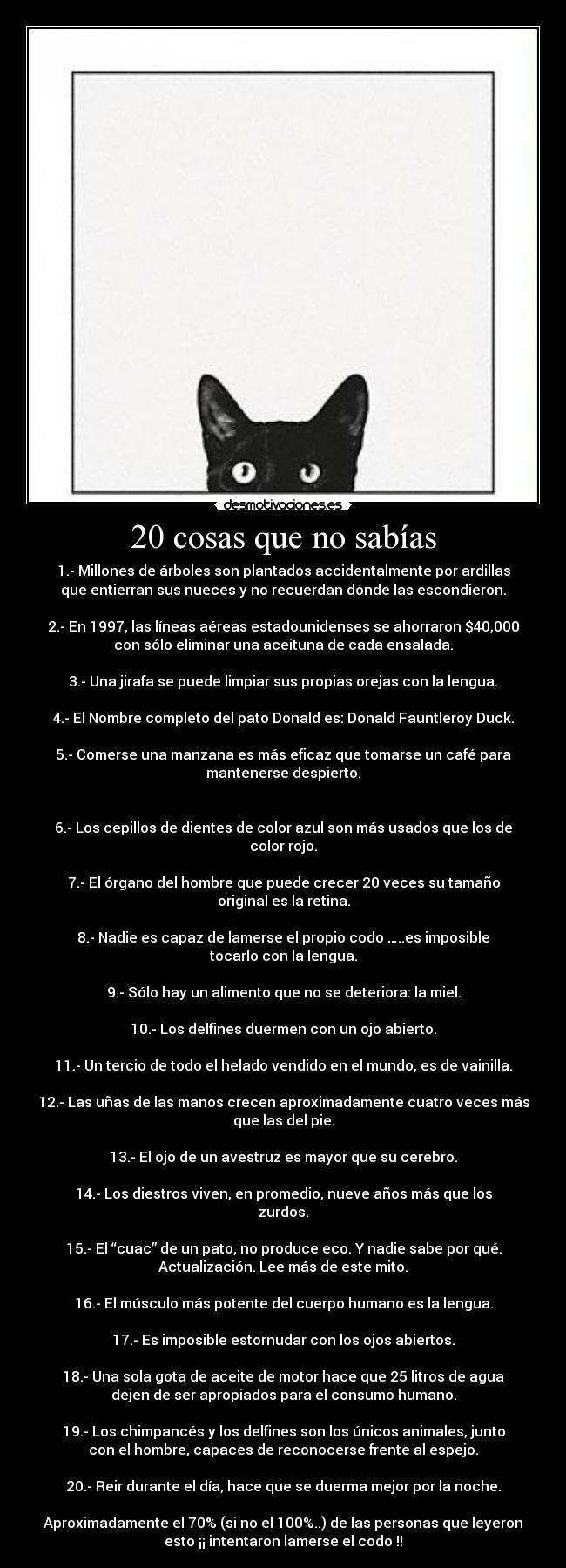20 cosas que no sabías -