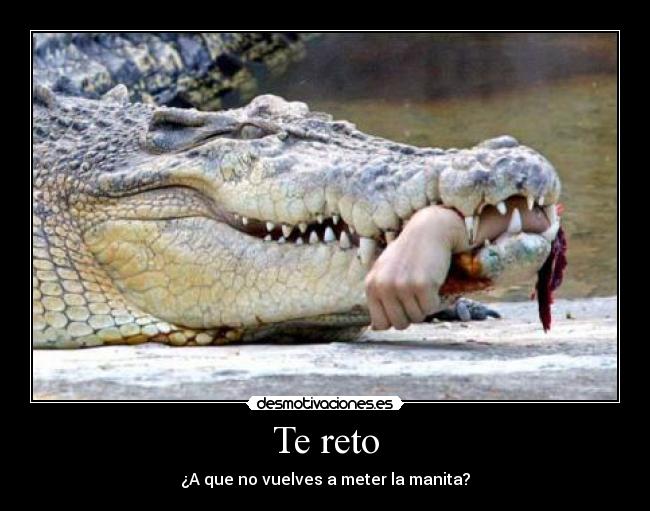Te reto - ¿A que no vuelves a meter la manita?