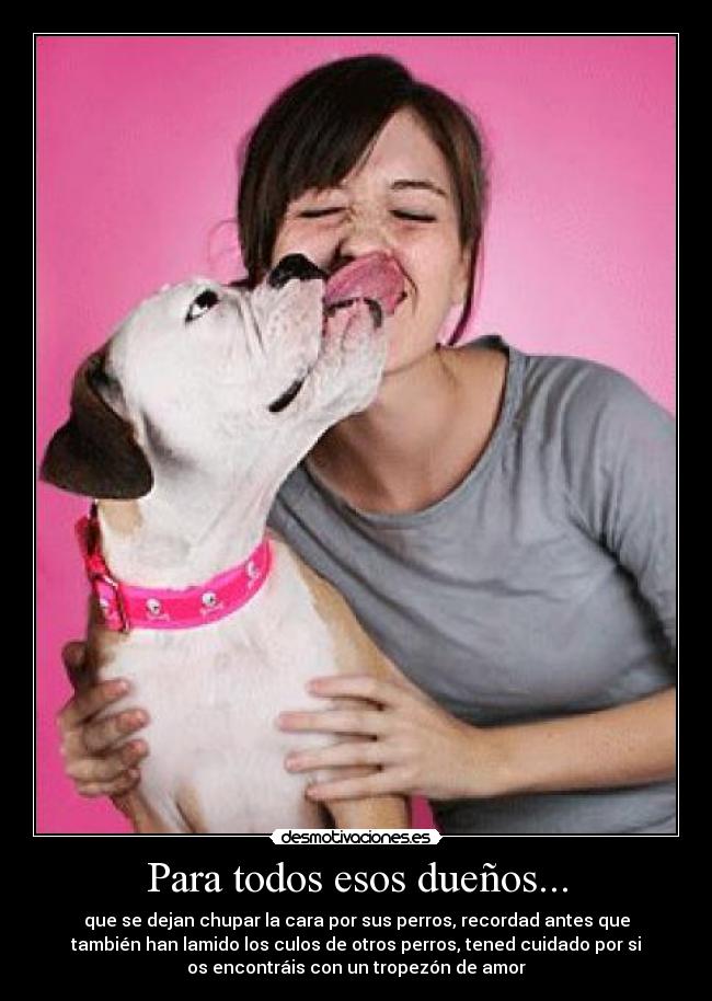 Para todos esos dueños... -