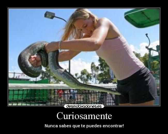 Curiosamente - Nunca sabes que te puedes encontrar!