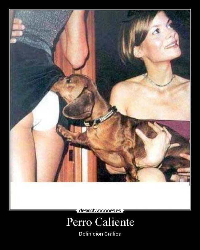 Perro Caliente - Definicion Grafica
