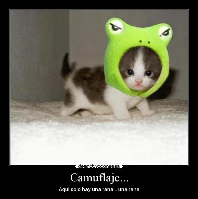 Camuflaje... - Aqui solo hay una rana... una rana