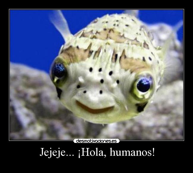 Jejeje... ¡Hola, humanos! -