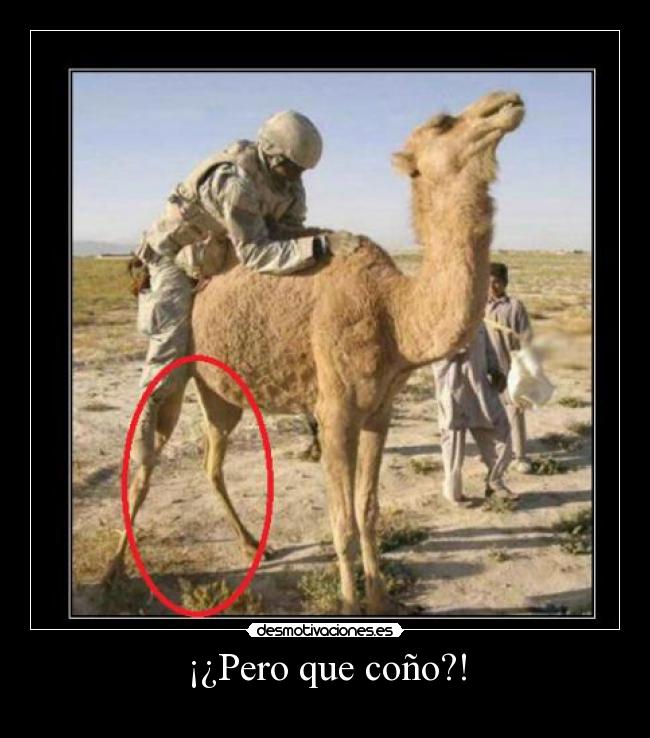 carteles pero que cono desmotivaciones