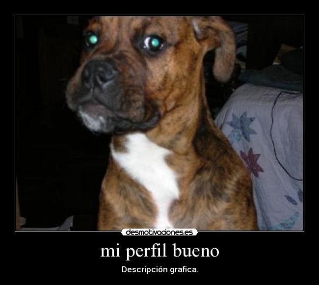 mi perfil bueno -