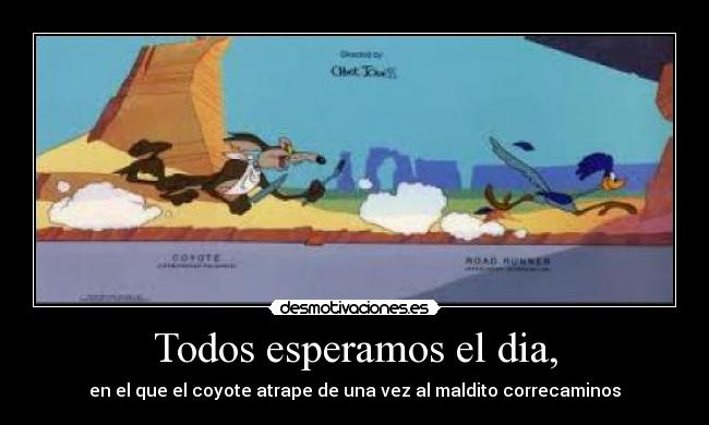 Todos esperamos el dia, - en el que el coyote atrape de una vez al maldito correcaminos