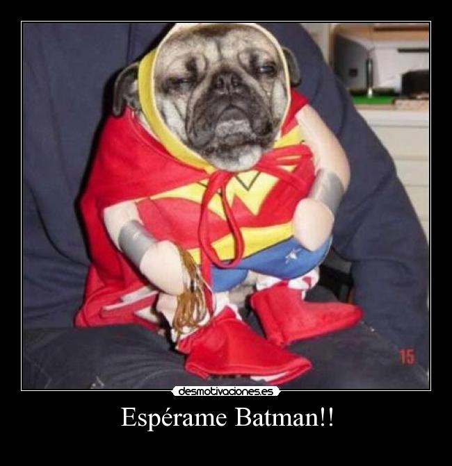 Espérame Batman!! - 