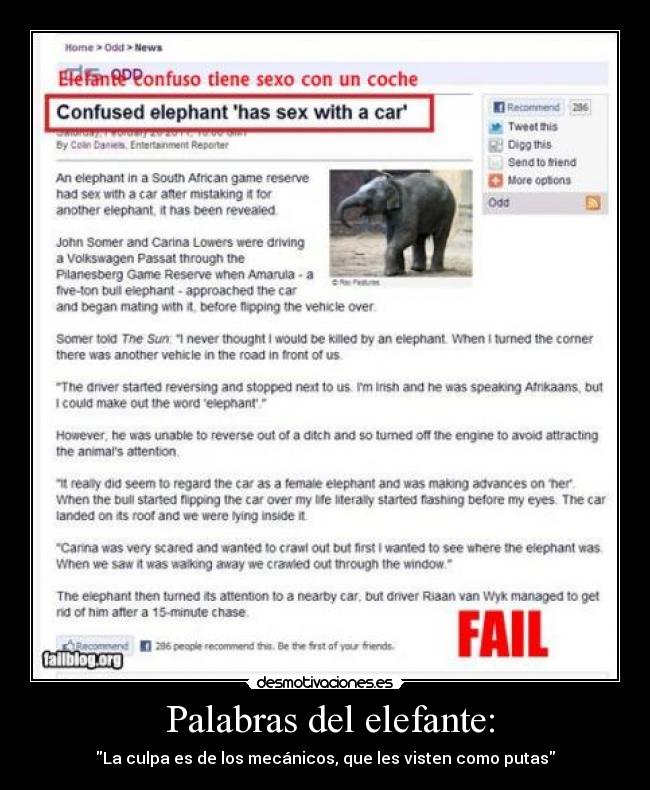 Palabras del elefante: -