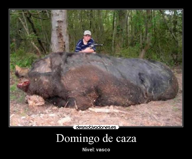 Domingo de caza -