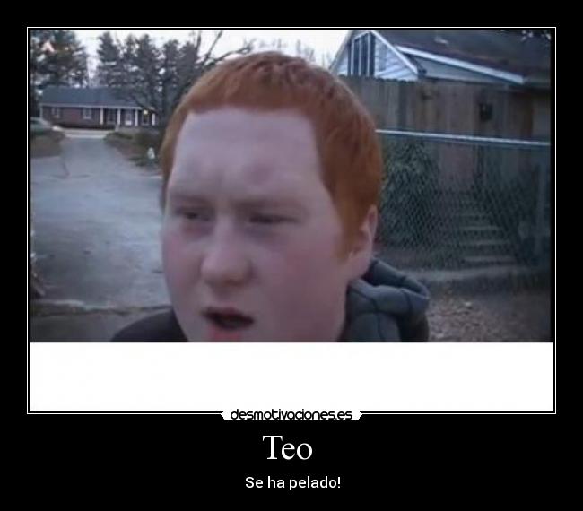 Teo -