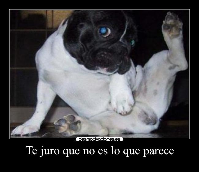 Te juro que no es lo que parece -
