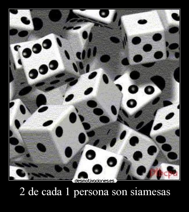 2 de cada 1 persona son siamesas -